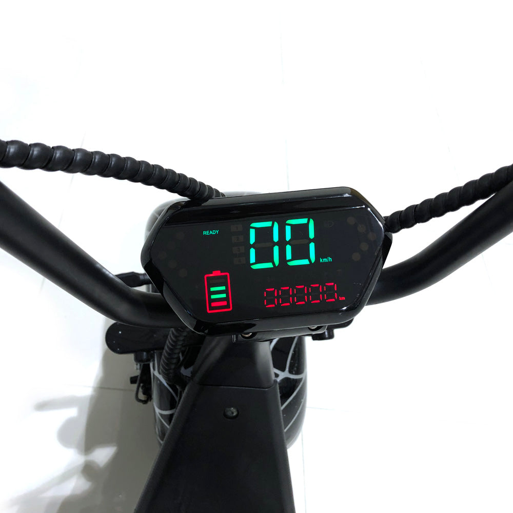 CRONY X3 BIG HARLEY+LI-ion battery+BT+double seat Electric Scooter