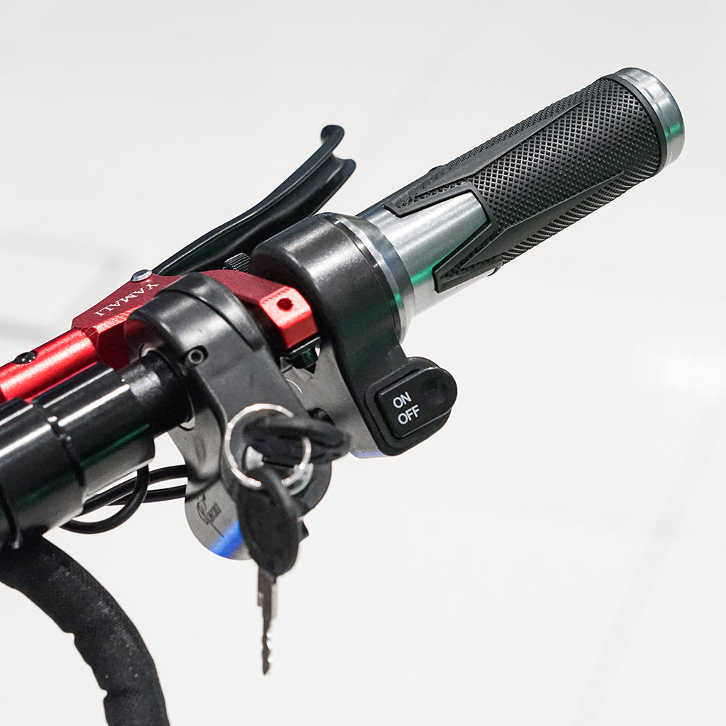 CRONY DK-11 LED 2800W 11 inch Wide tire High configuration E-Scoot bike Electric Scooter