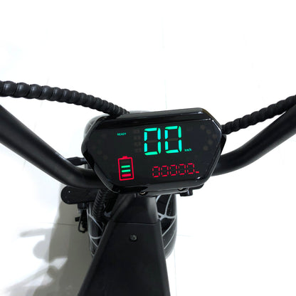 CRONY X3 BIG HARLEY+LI-ion battery+BT+double seat Electric Scooter