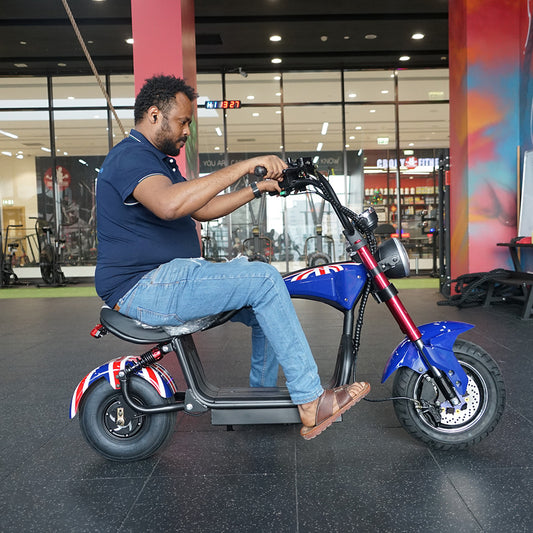 CRONY Small X1 1200W Harley Car Electric bicycle Electric Ebike Harley Car Electric Scooter
