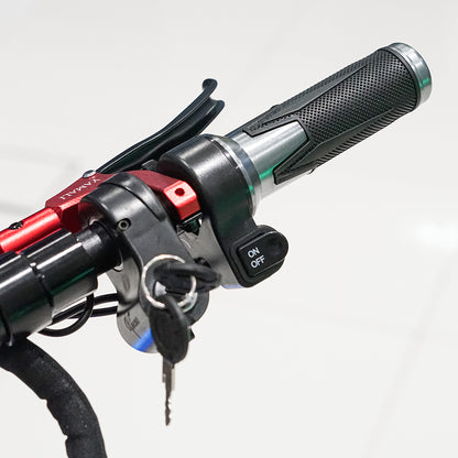 CRONY DK-11 LED 2800W 11 inch Wide tire High configuration E-Scoot bike Electric Scooter