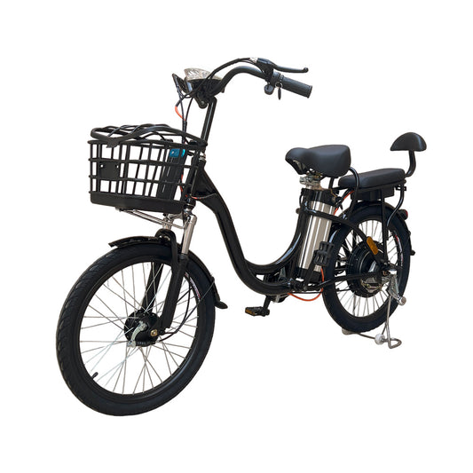 CRONY 22inch The fire spirit bird Electric bicycle 350w 48v mid drive city electric bike electric bicycle