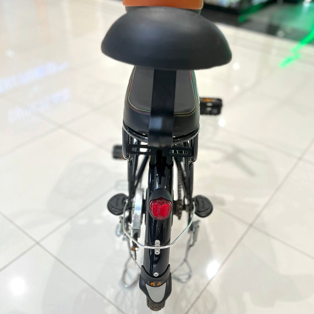 CRONY 22inch The fire spirit bird Electric bicycle E-BIKE bike - Edragonmall.com