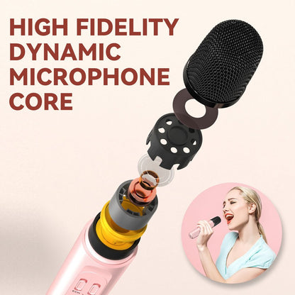 SP-100 BT Karaoke Speaker Portable Outdoor Singing Speaker - Edragonmall.com