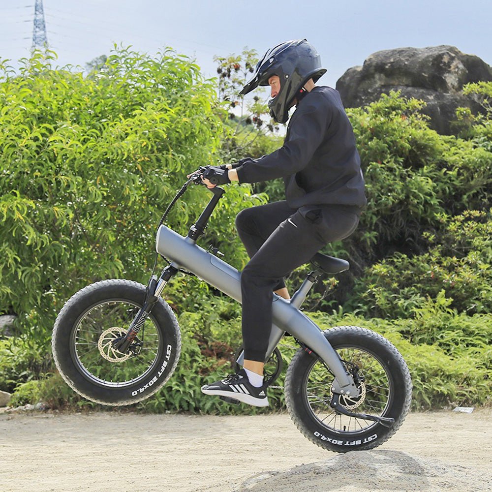 CRONY Q3 Off-road fat tire 48V/750W aluminum alloy E-bike 20 inch fat tire off road bicy Scootercle electric bike Scooter - Edragonmall.com