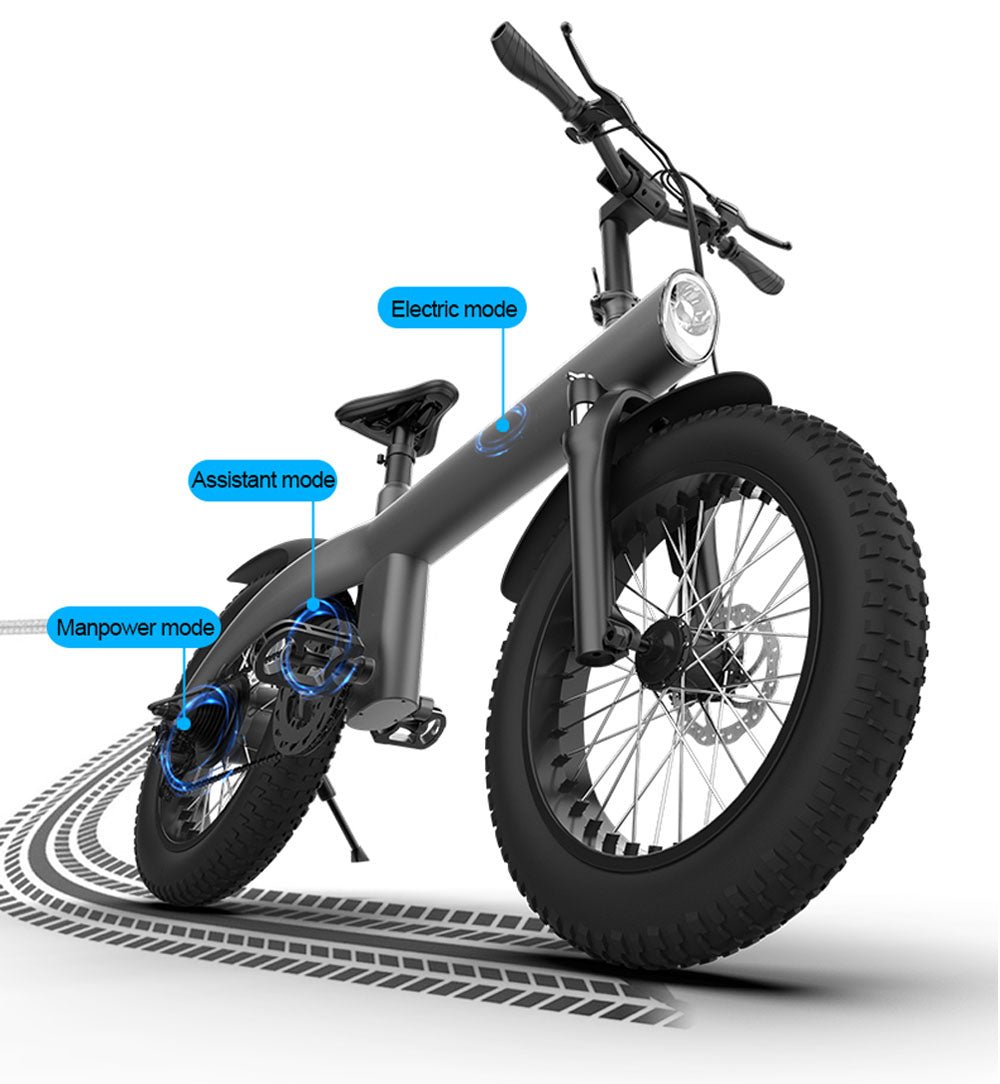 CRONY Q3 Off-road fat tire 48V/750W aluminum alloy E-bike 20 inch fat tire off road bicy Scootercle electric bike Scooter - Edragonmall.com