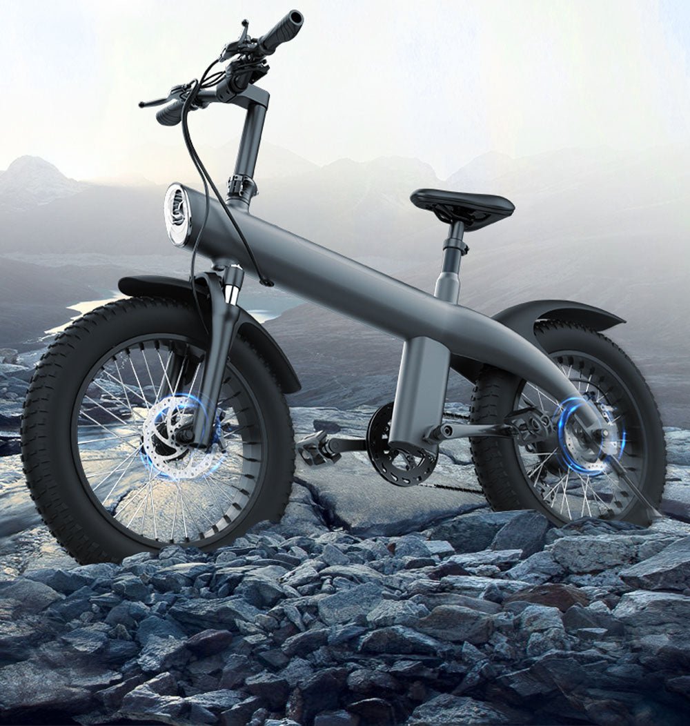 CRONY Q3 Off-road fat tire 48V/750W aluminum alloy E-bike 20 inch fat tire off road bicy Scootercle electric bike Scooter - Edragonmall.com