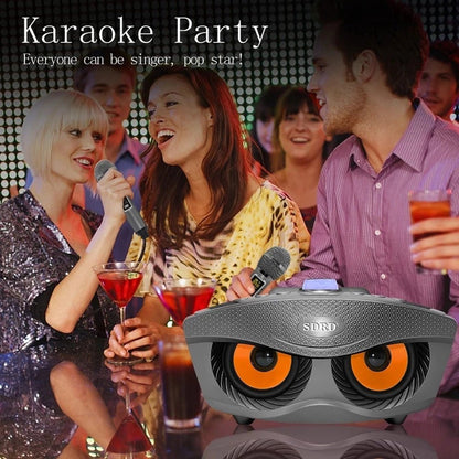 SDRD SD306 Plus 30W Karaoke Player Dual bluetooth 4.2 Speaker Family KTV Stereo Mic Big Sound Speaker with 2 Wireless Microphones | Gold - Edragonmall.com