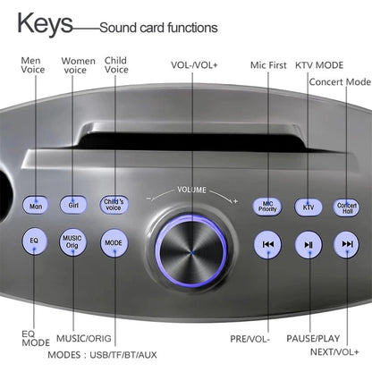 SDRD SD306 Plus 30W Karaoke Player Dual bluetooth 4.2 Speaker Family KTV Stereo Mic Big Sound Speaker with 2 Wireless Microphones | Gold - Edragonmall.com